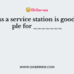 Business a service station is good example for _______