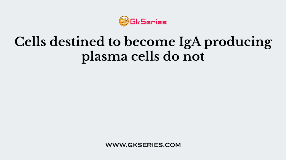 Cells destined to become IgA producing plasma cells do not