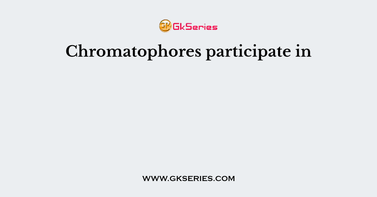 Chromatophores participate in