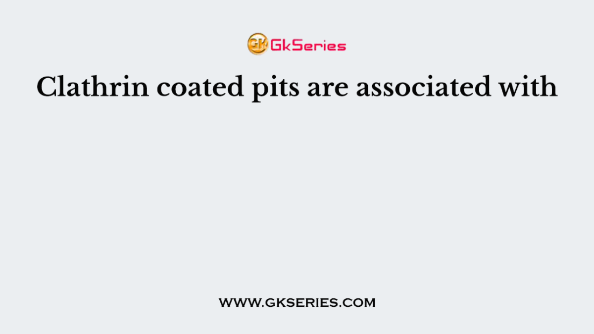 Clathrin coated pits are associated with