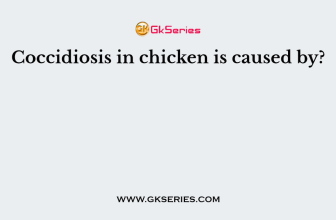 Coccidiosis in chicken is caused by?
