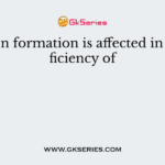 Collagen formation is affected in the deficiency of