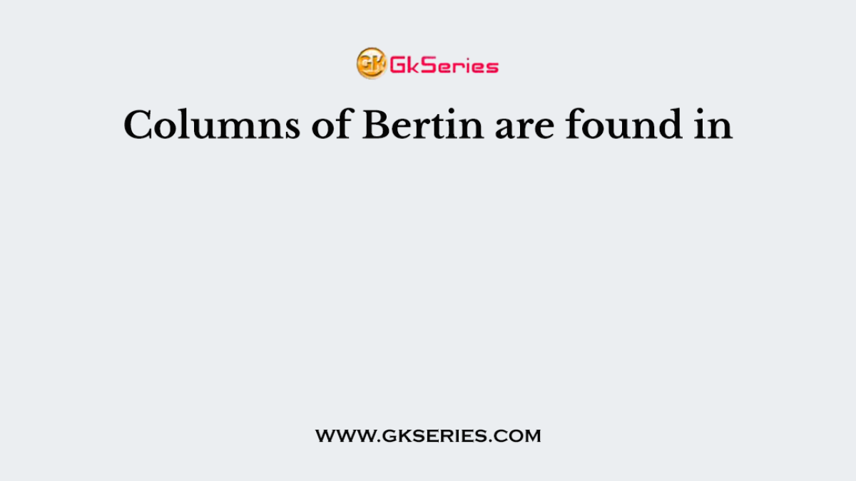 Columns of Bertin are found in