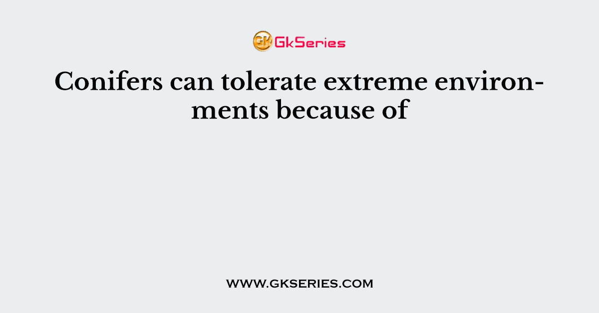Conifers can tolerate extreme environments because of