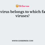 Coronavirus belongs to which family of viruses?