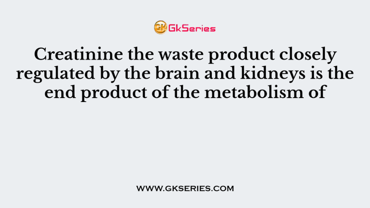Creatinine the waste product closely regulated by the brain and kidneys is the end product of the metabolism of