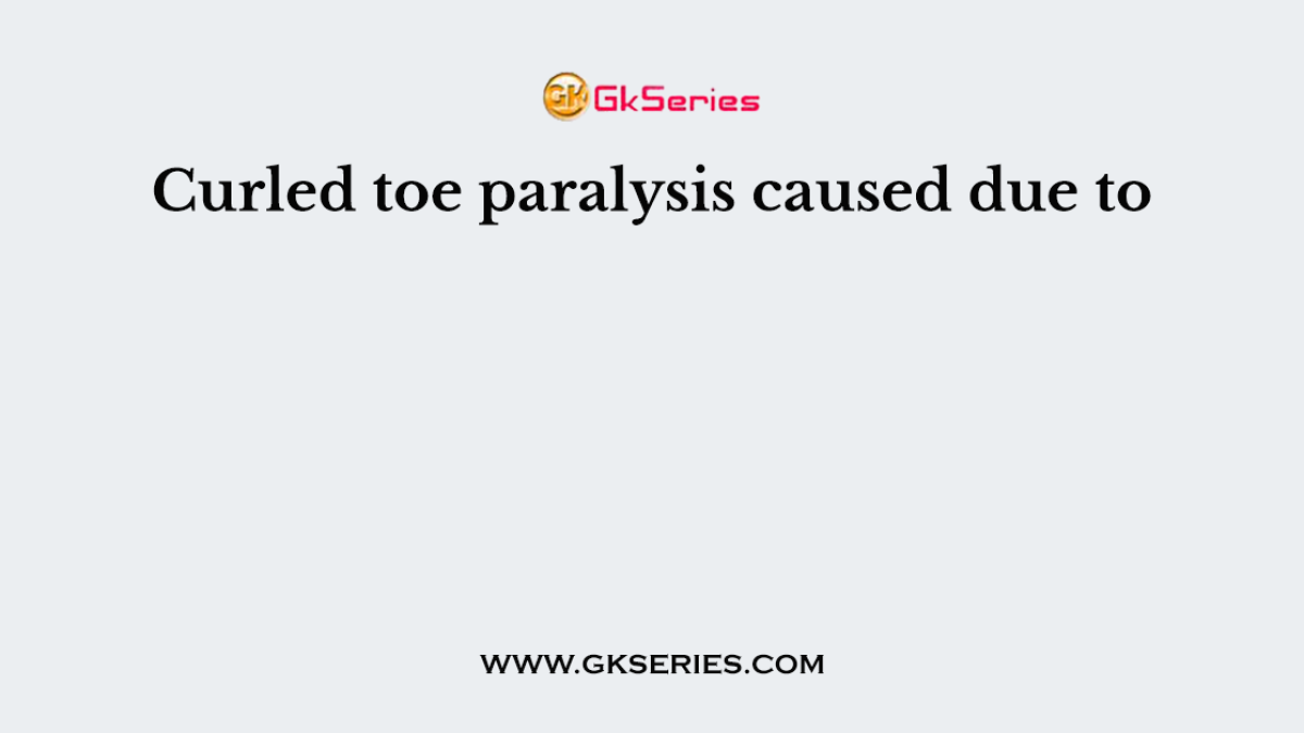 Curled toe paralysis caused due to