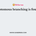 Dichotomous branching is found in