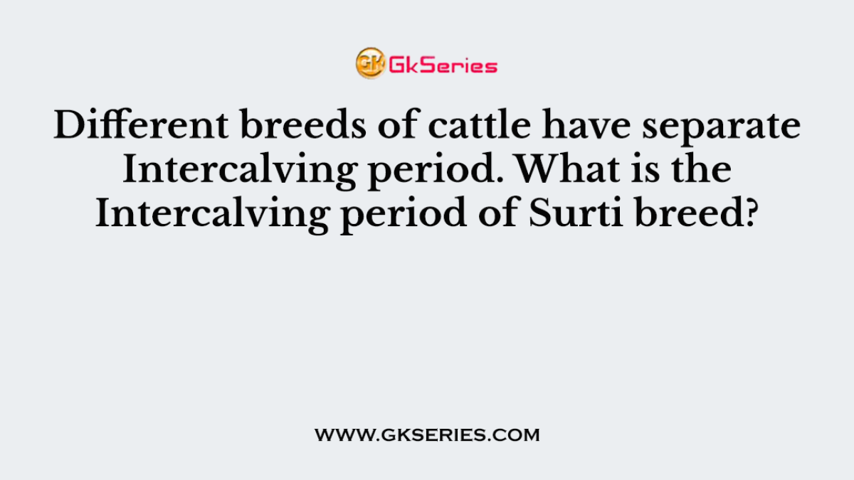 Different breeds of cattle have separate Intercalving period. What is the Intercalving period of Surti breed?