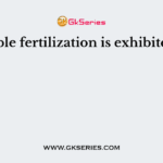Double fertilization is exhibited by