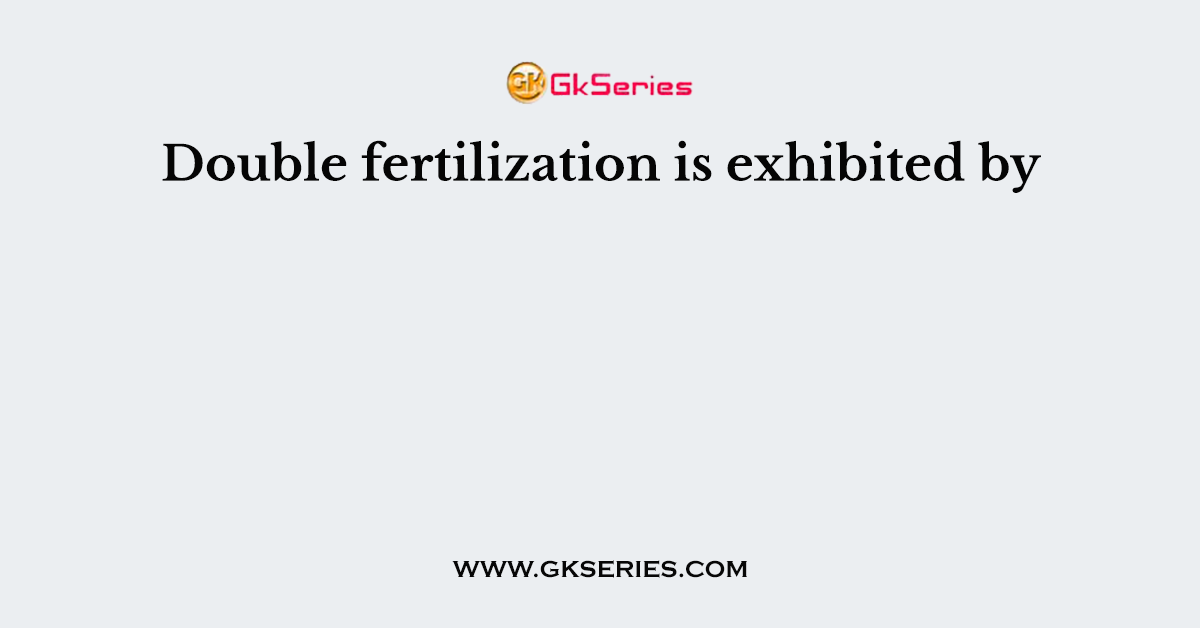 Double fertilization is exhibited by