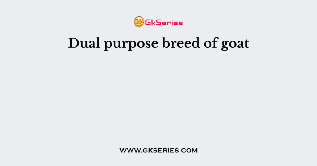 Dual purpose breed of goat