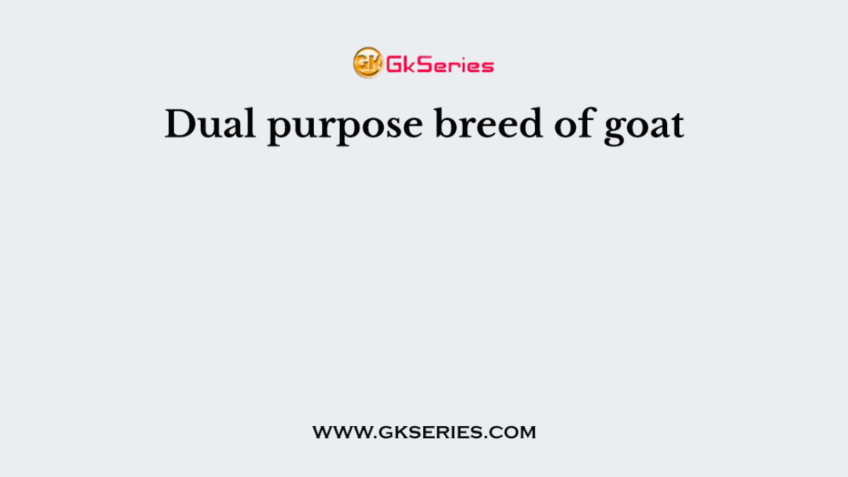Dual purpose breed of goat