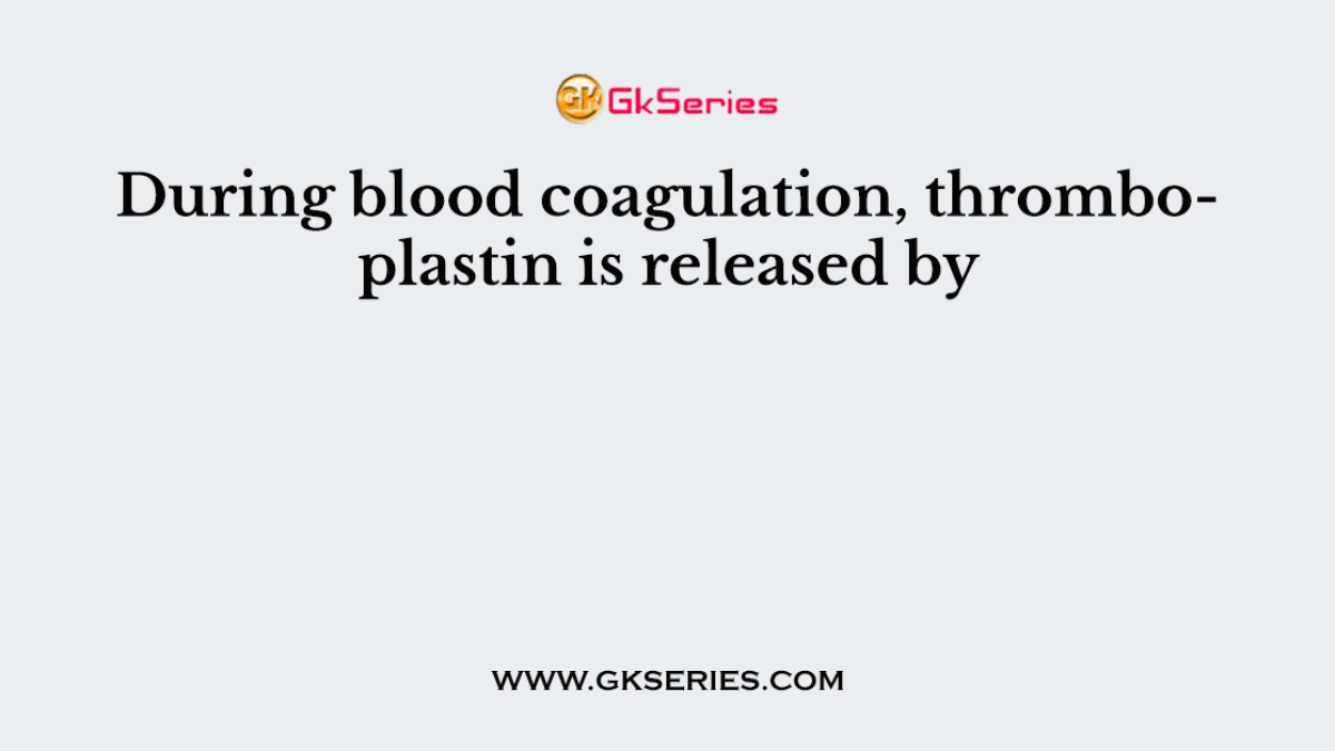 During blood coagulation, thromboplastin is released by