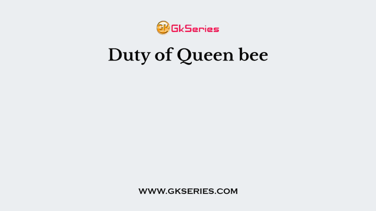 Duty of Queen bee