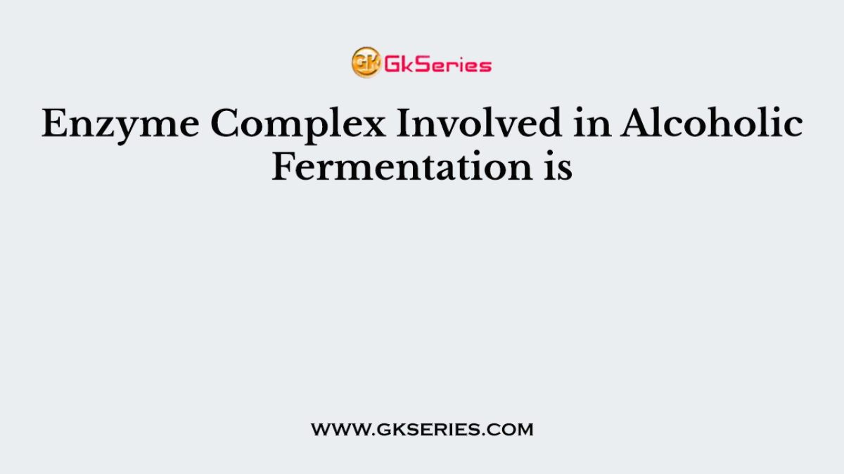 Enzyme Complex Involved in Alcoholic Fermentation is
