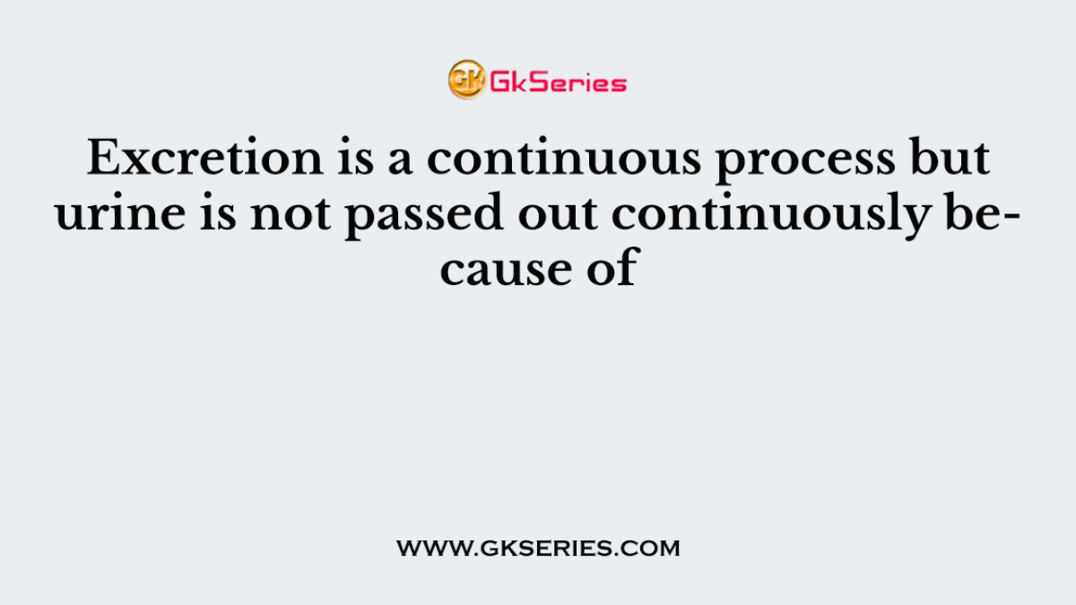 Excretion is a continuous process but urine is not passed out continuously because of