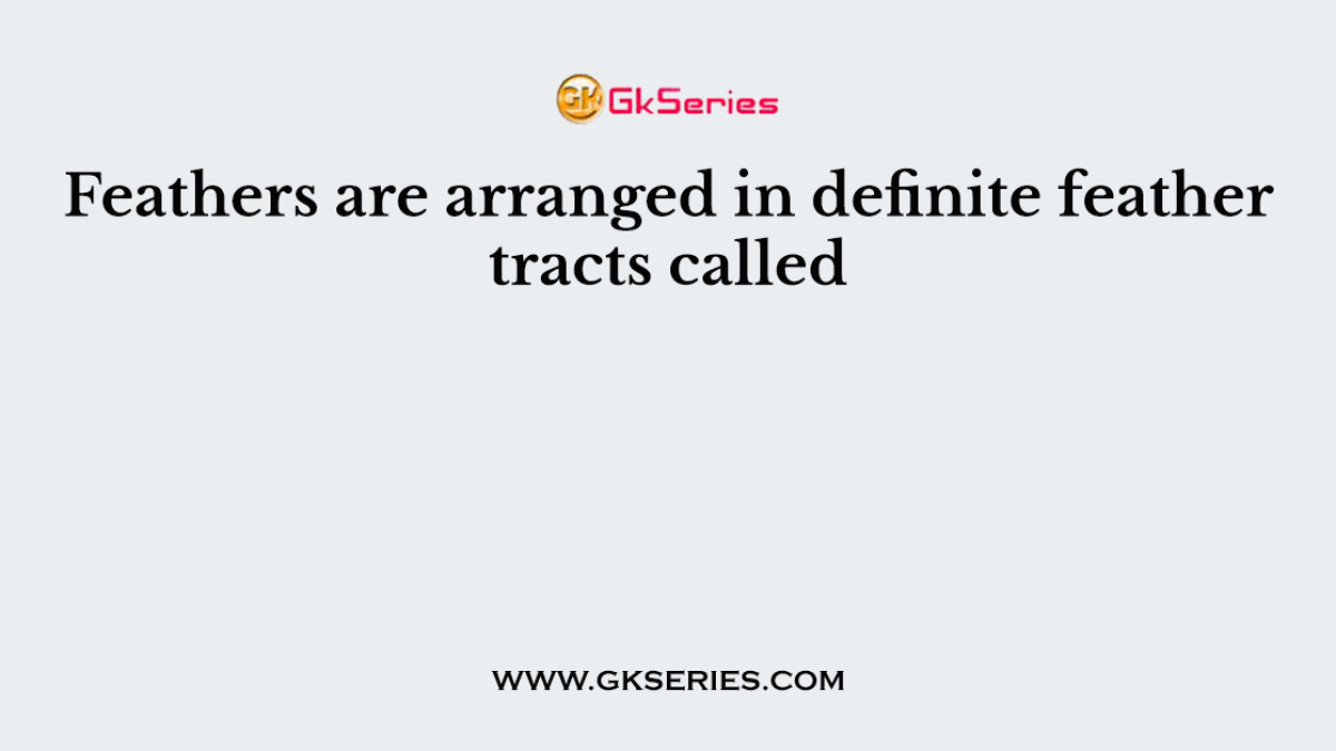 Feathers are arranged in definite feather tracts called