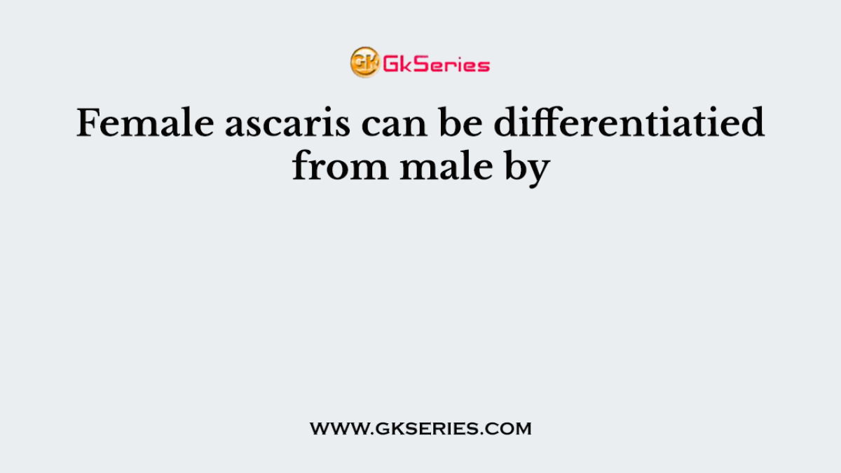Female ascaris can be differentiatied from male by