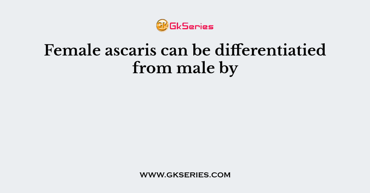 Female ascaris can be differentiatied from male by