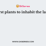 First plants to inhabit the land