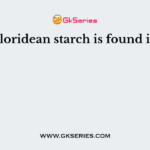 Floridean starch is found in