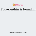 Fucoxanthin is found in
