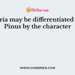Funaria may be differentiated from Pinus by the character
