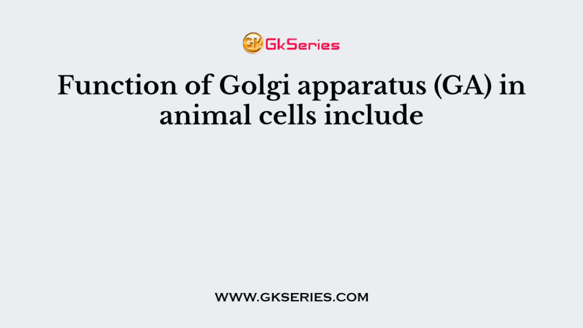 Function of Golgi apparatus (GA) in animal cells include