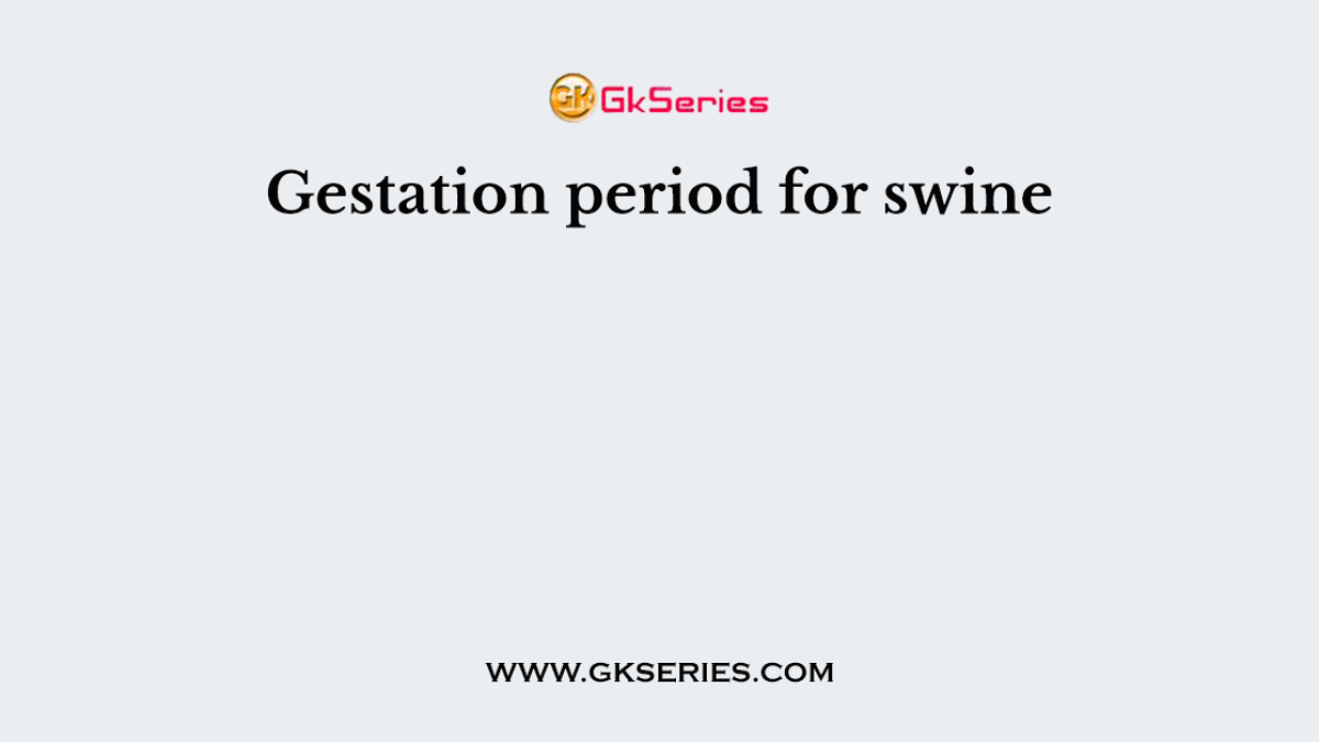 Gestation period for swine
