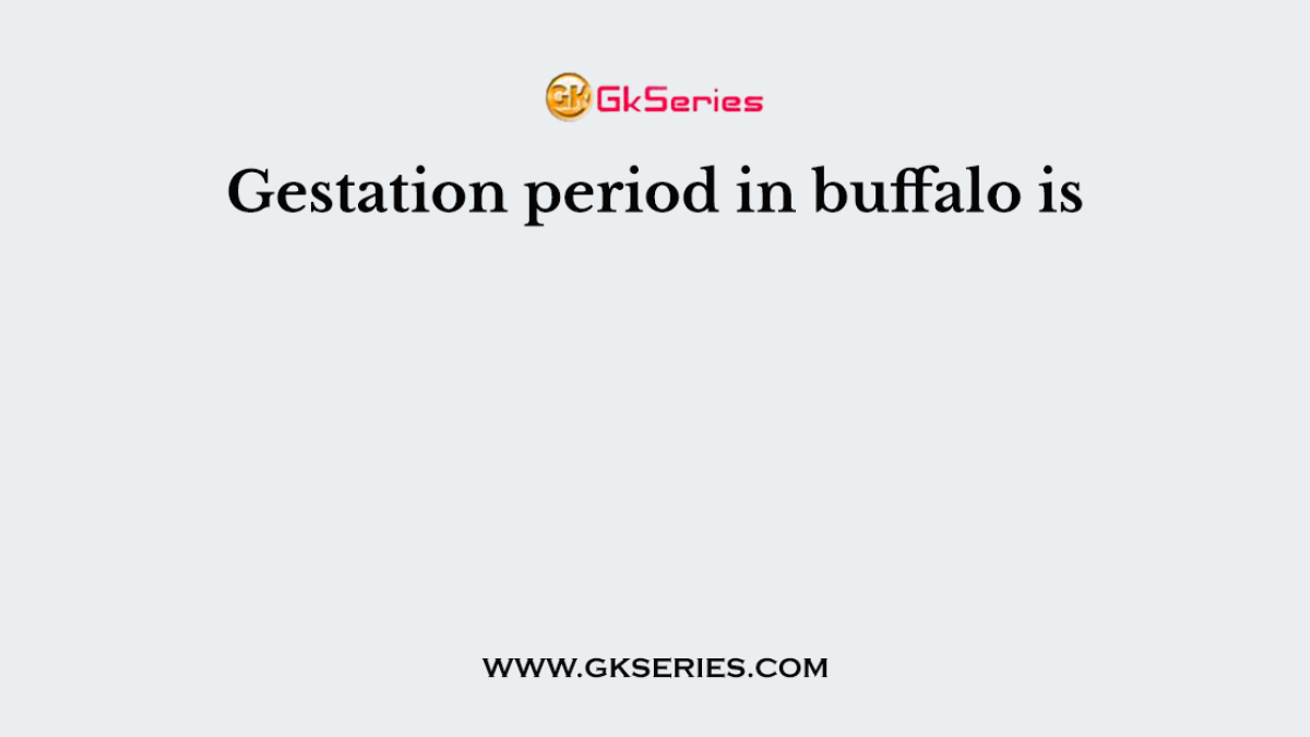 Gestation period in buffalo is