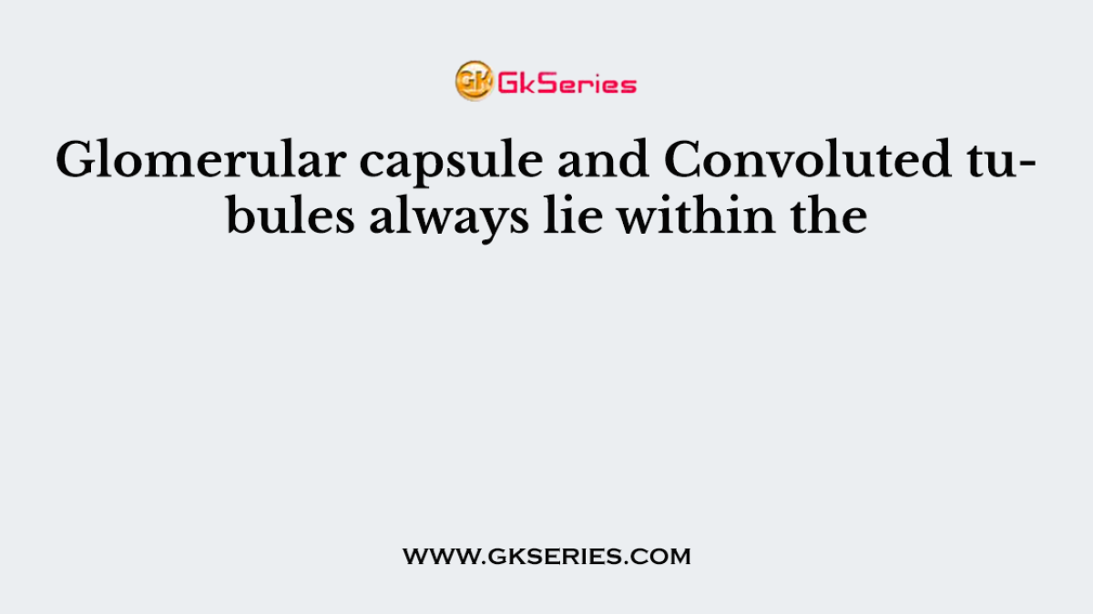 Glomerular capsule and Convoluted tubules always lie within the