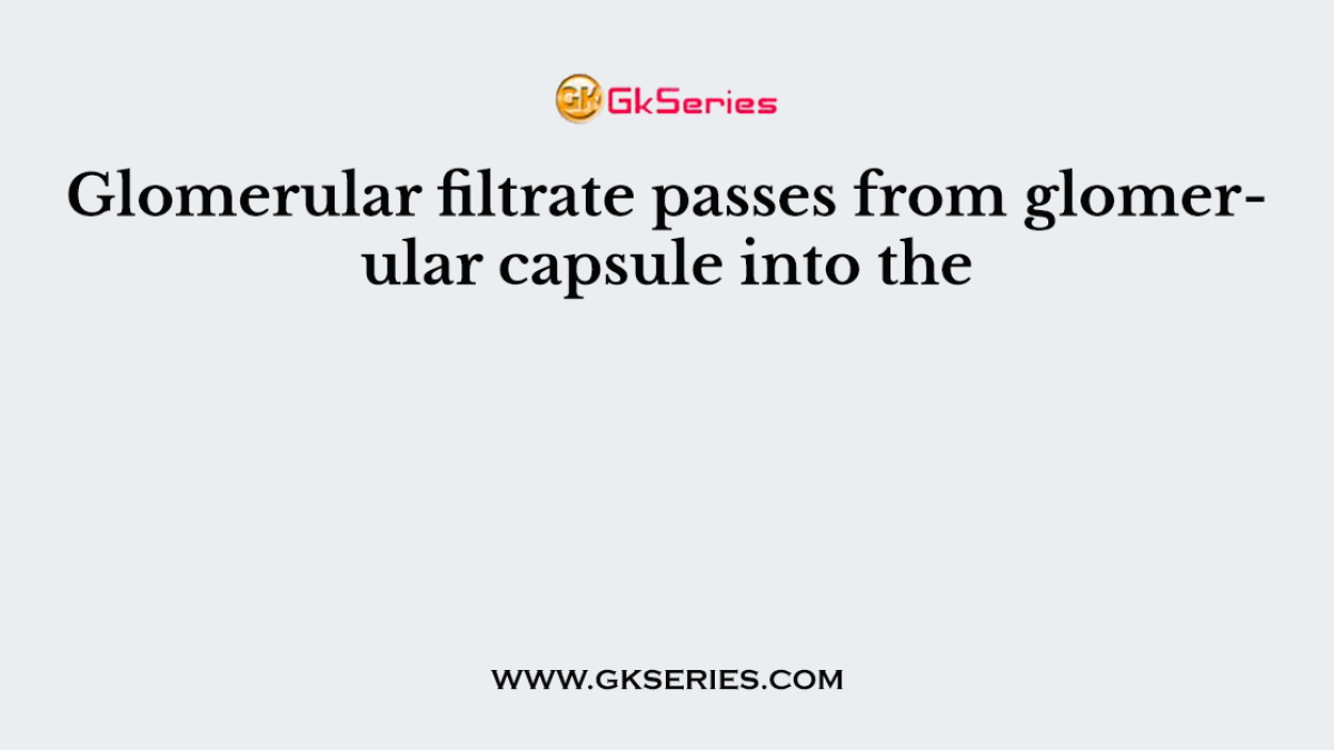 Glomerular filtrate passes from glomerular capsule into the