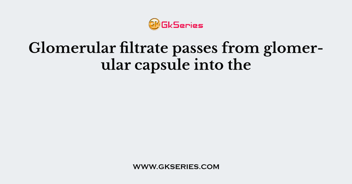 Glomerular filtrate passes from glomerular capsule into the