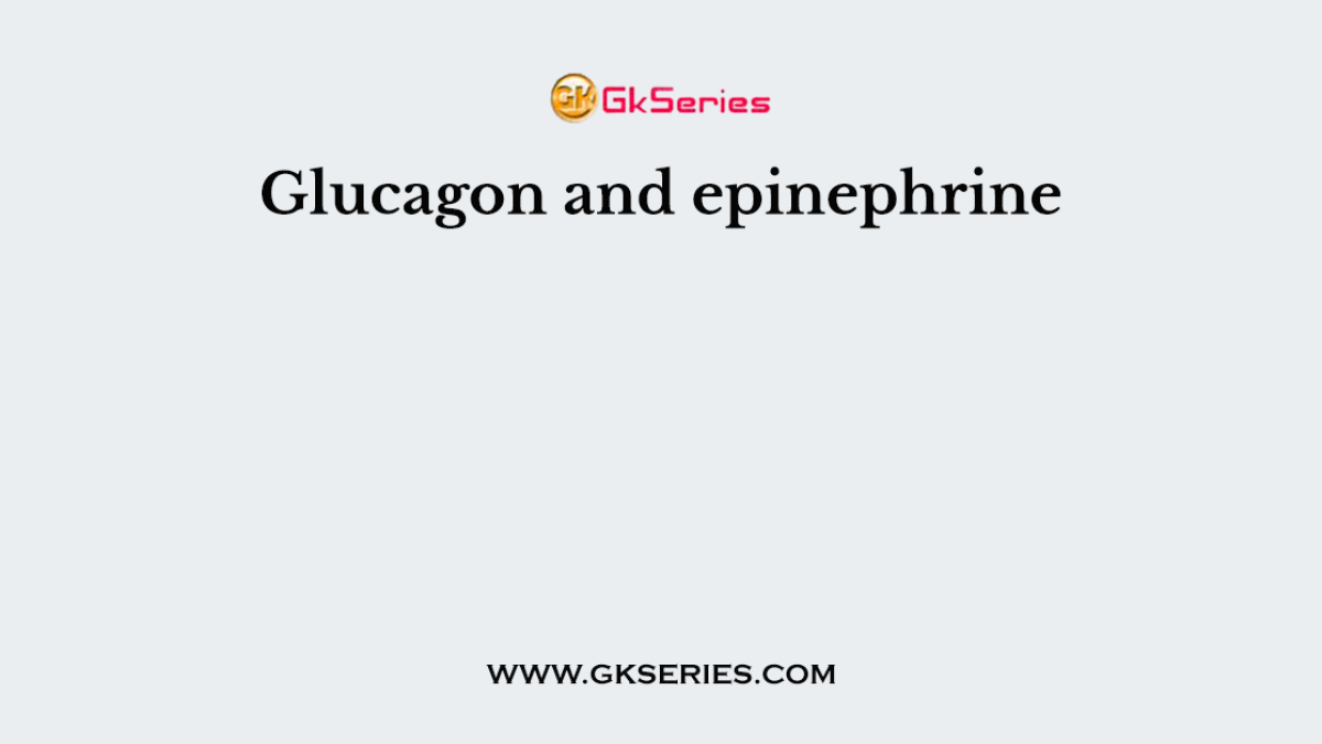 Glucagon and epinephrine