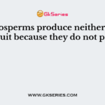 Gymnosperms produce neither flower nor fruit because they do not possess