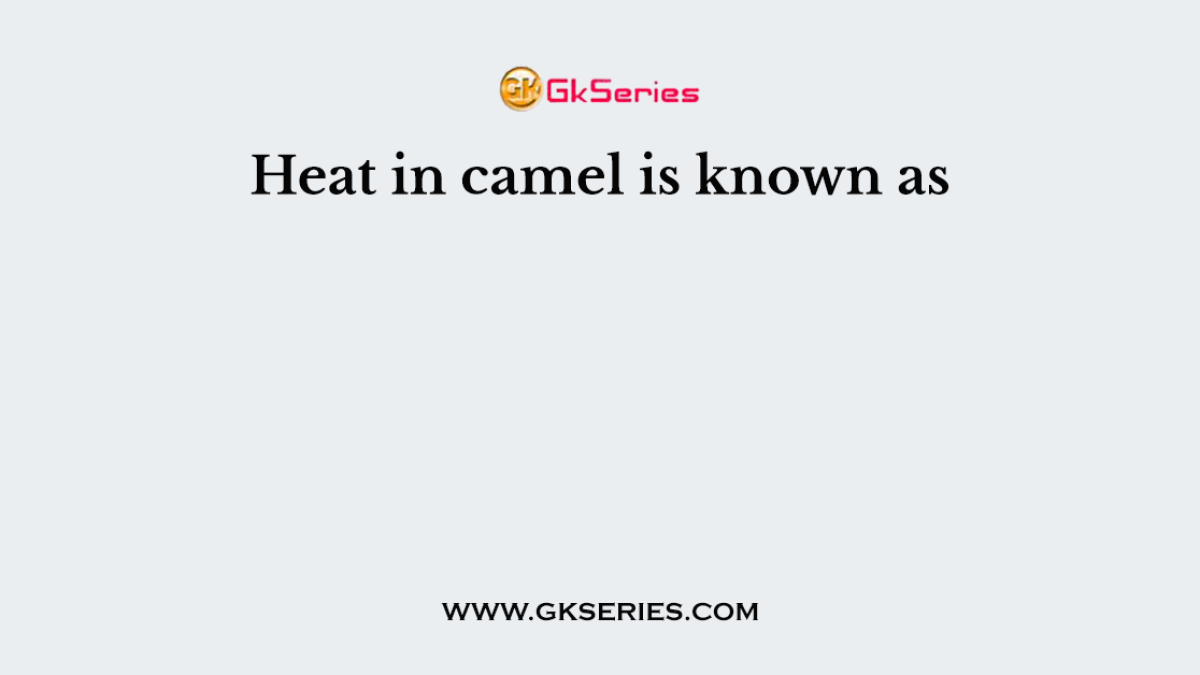 Heat in camel is known as