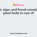 Holdfast, stipe, and frond constitutes the plant body in case of