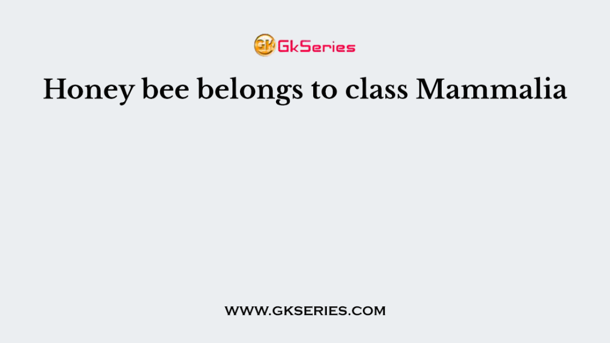 Honey bee belongs to class Mammalia.