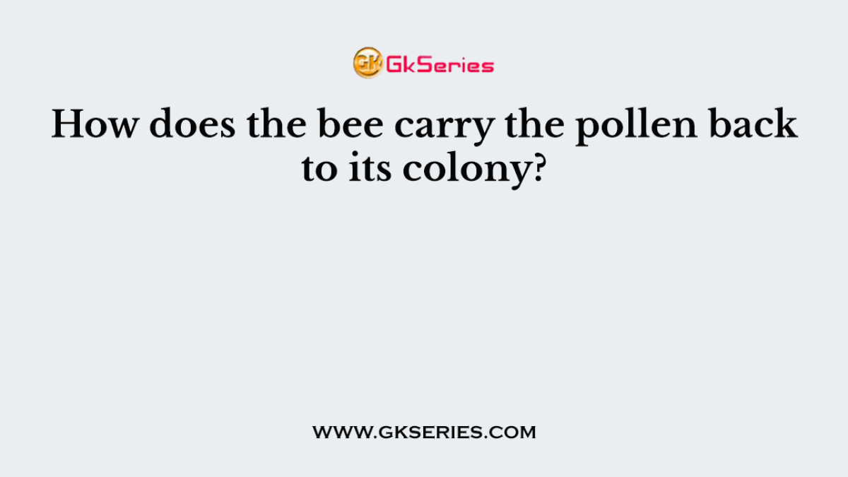 How does the bee carry the pollen back to its colony?