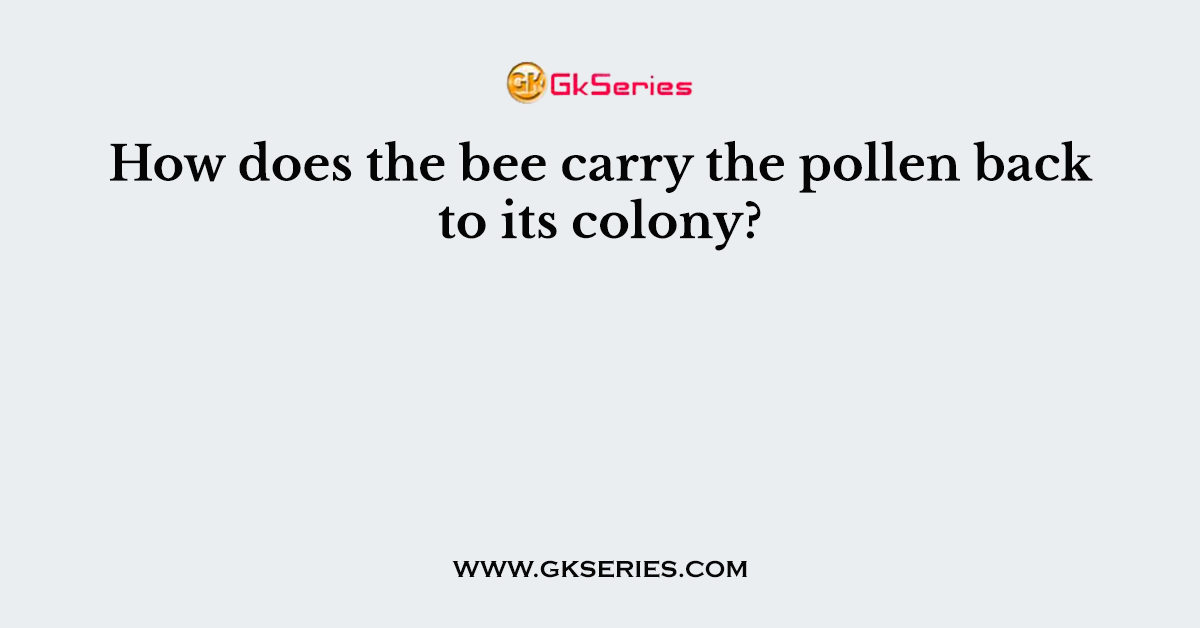 How does the bee carry the pollen back to its colony?