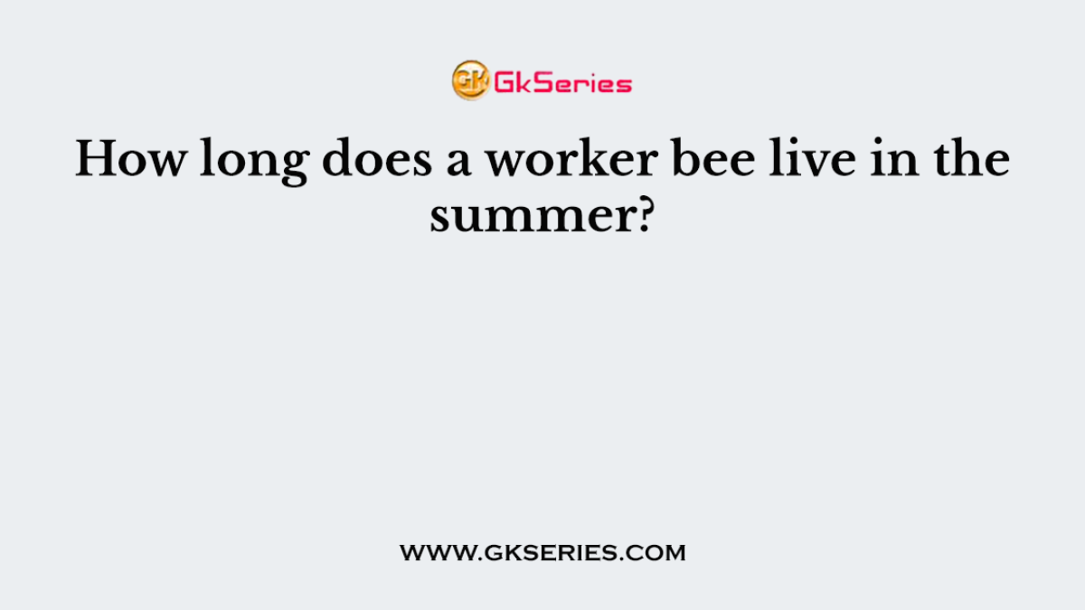 How long does a worker bee live in the summer?