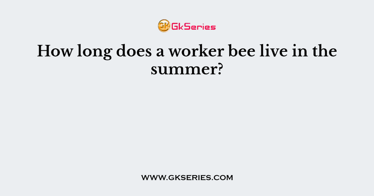 How long does a worker bee live in the summer?
