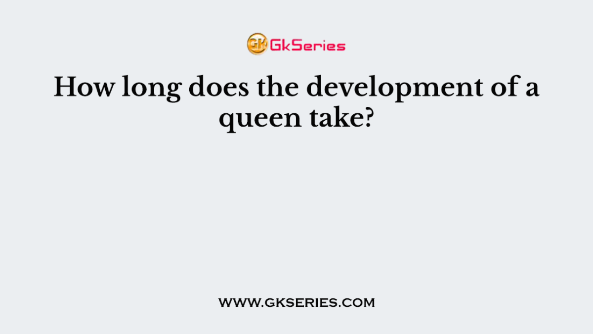 How long does the development of a queen take?