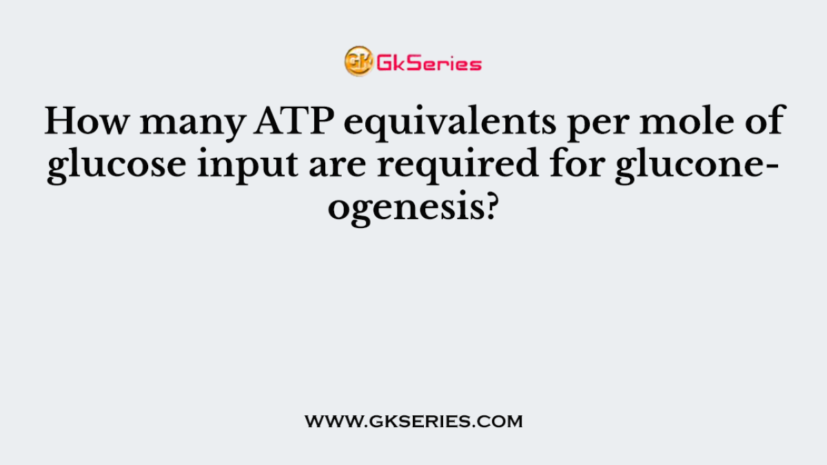 How many ATP equivalents per mole of glucose input are required for gluconeogenesis?