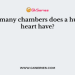 How many chambers does a human heart have?