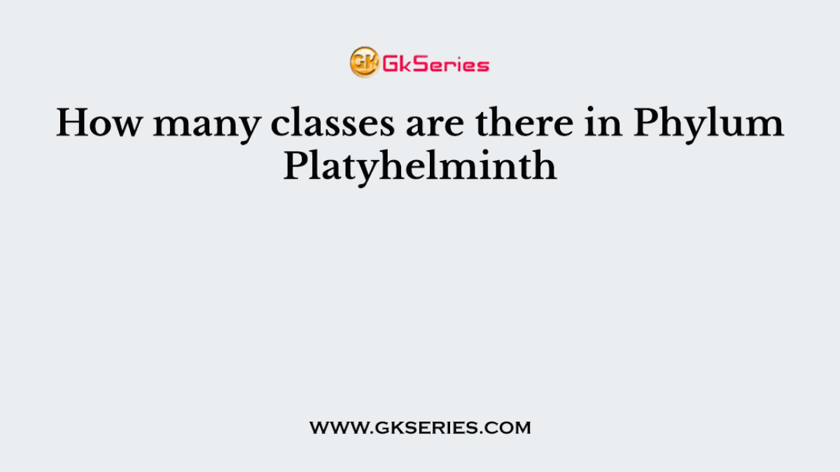 How many classes are there in Phylum Platyhelminth