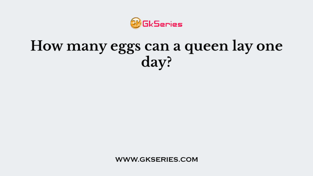 How many eggs can a queen lay one day?