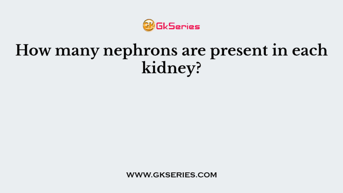 How many nephrons are present in each kidney?