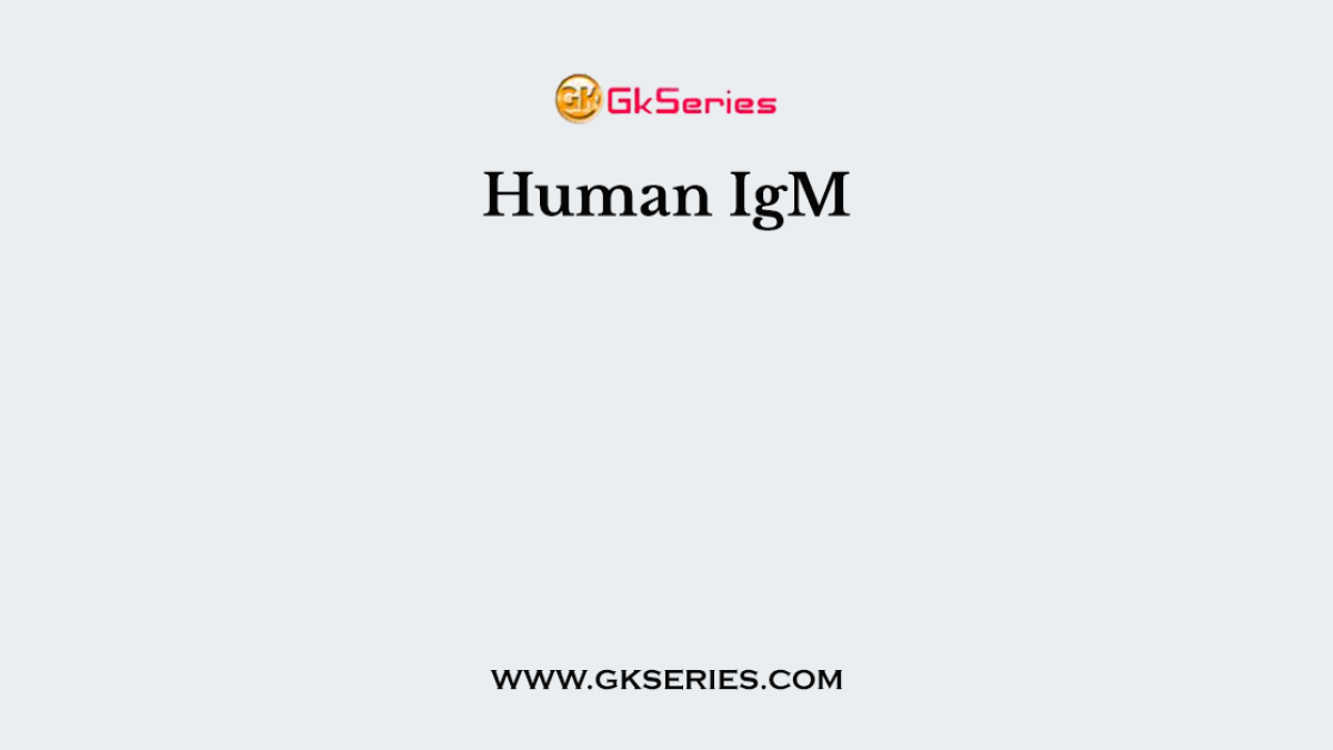 Human IgM